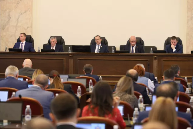 Депутаты ЗСК установили еще одну социальную гарантию для многодетных