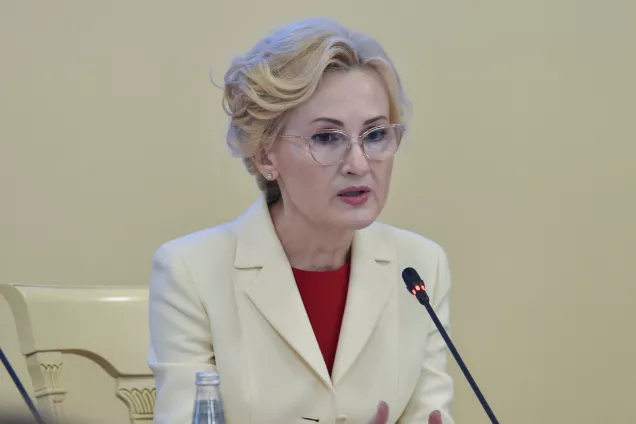 И.Яровая. Подготовлены комплексные законопроекты, касающиеся  нелегальной миграции