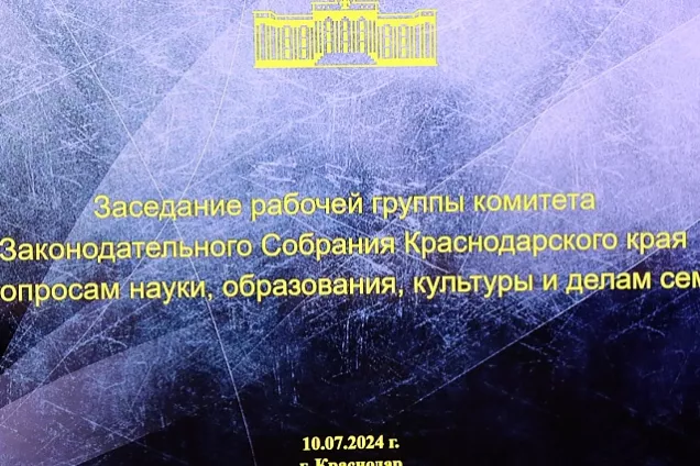 Депутаты Кубани обсудили ход реализации  в крае мер социальной поддержки многодетных семей