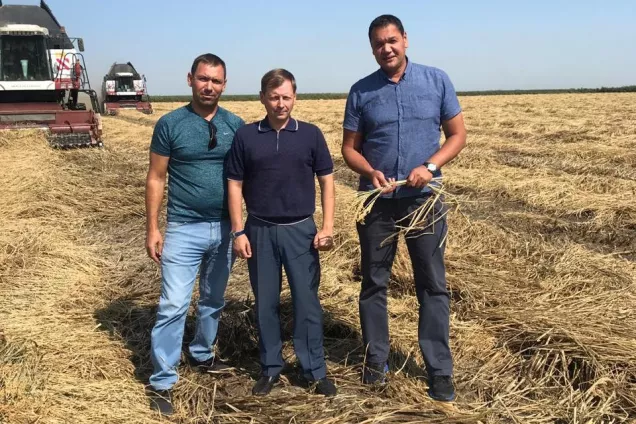 Рисоводы Кубани сохранили урожай в условиях засухи