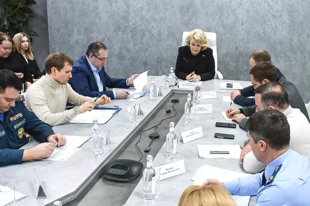 Депутаты Госдумы обсудили подготовку детской оздоровительной кампании  в 2025 году