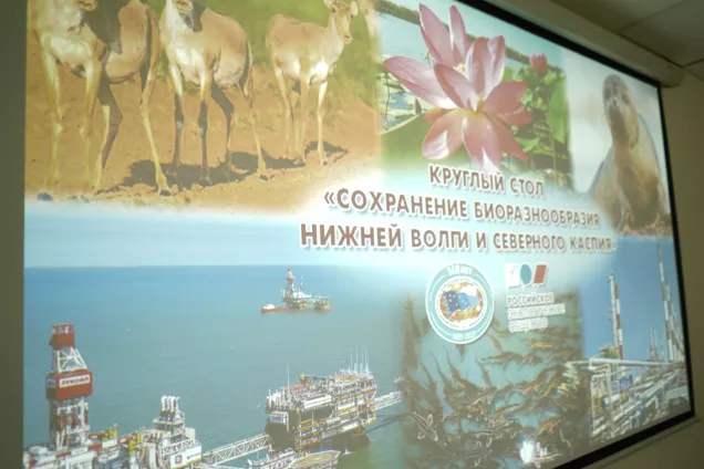 В Астраханской области обсудили вопросы сохранения биоразнообразия Нижней Волги и Северного Каспия