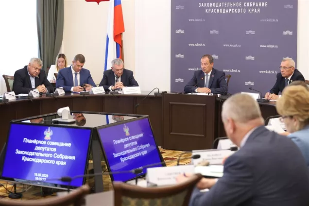 Кубанские законодатели обсудили  перспективы развития уличной торговли в крае