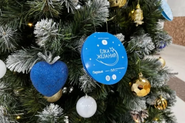 Парламентарии Ставрополья исполняют мечты юных жителей края с «Елки желаний»