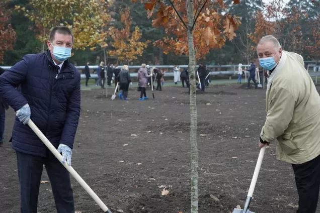 Законодатели Кубани высадили 75 саженцев красного дуба  в честь юбилея Великой Победы