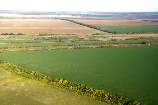 Господдержка развития защитных лесных насаждений будет расширена в Волгоградской области