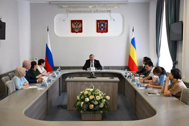 Депутаты Дона приступили к обновлению законодательства о местном самоуправлении