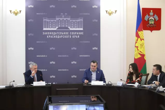Законодатели кубани предложили распространить опыт разработки этического кодекса краснодарца
