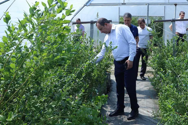 Юрий Бурлачко проверил результативность действия закона об органическом земледелии в Краснодарском крае