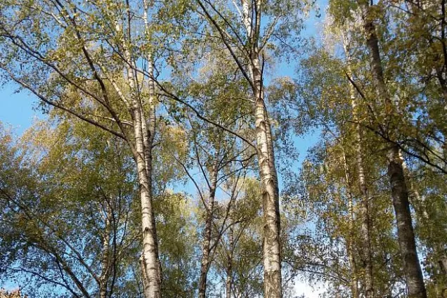 Поздравление председателя Волгоградской областной Думы Александра Блошкина с Всемирным днем охраны окружающей среды