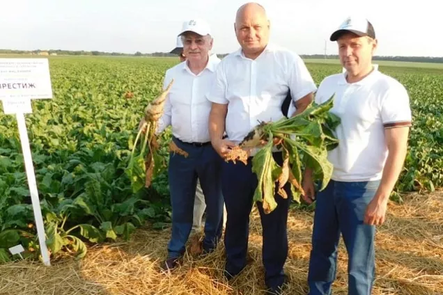 Депутаты Кубани ознакомились с последними достижениями отечественной селекции масличных культур и сахарной свеклы