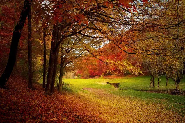 Что значит введение особого режима