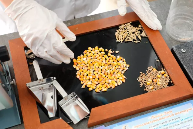 Ю. Бурлачко. Поступательное развитие семеноводства -неотъемлемое условие прогресса в сельском хозяйстве