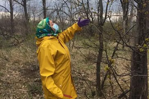 Экосовет держит на контроле ситуацию в сфере охраны и защиты лесных насаждений