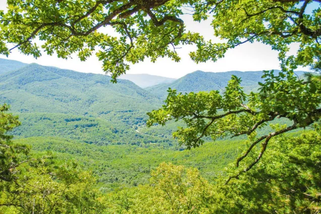 Юрий Бурлачко  рассказал о туризме на особо охраняемых природных территориях в Краснодарском крае