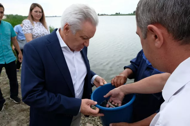 Парламентарий Астрахани А. Клыканов принял участие в выпуске рыбной молоди