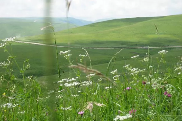 В Волгоградской области выберут лучшие программы и технологии по экопросвещению