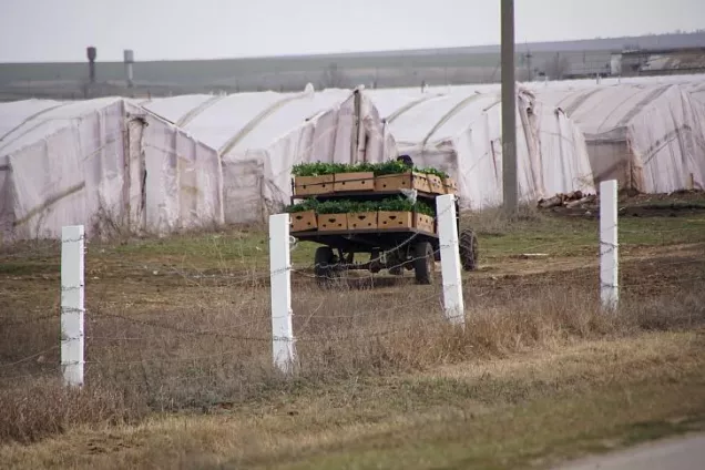 В закон о безопасном обращении с пестицидами вносятся изменения