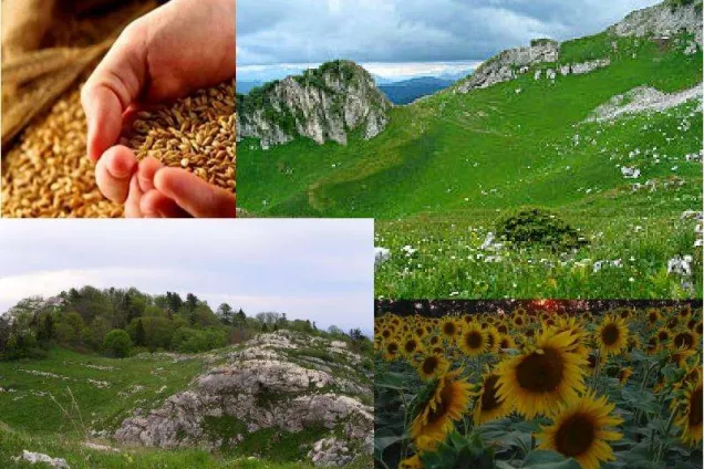 Юрий Бурлачко. От того, как развиваются территории, зависит и развитие Кубани