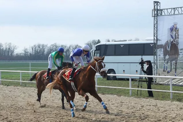 Ю.Бурлачко. Сегодняшние скачки – дань многовековой истории Кубани, ее казачьим традициям и культуре