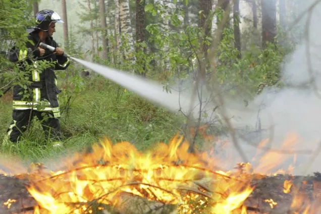 В центре внимания кубанских властей профилактика лесных пожаров