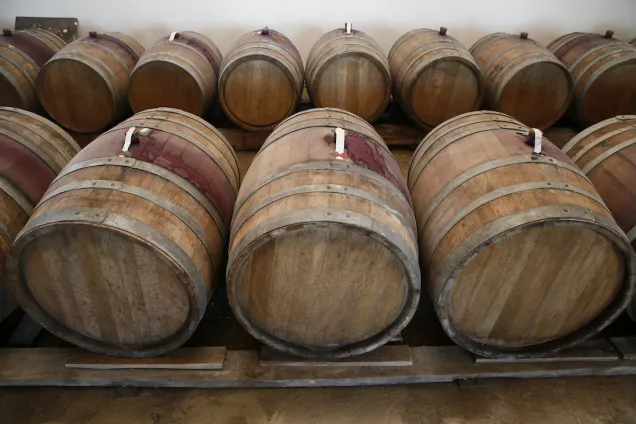 Ю.Бурлачко .Внимание Президента к развитию виноградарства позволит выйти отрасли на новый уровень