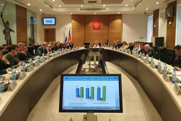 В регионе разработают комплекс первоочередных мероприятий по решению проблемы бездомных животных 