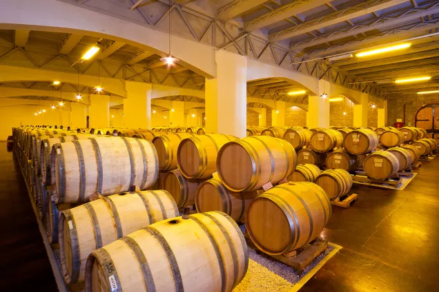 13 сентября 2020 года Единый день голосования: как он пройдет по‑новому