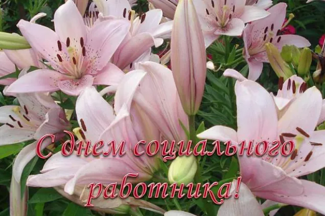 Поздравление председателя Волгоградской областной Думы Александра Блошкина с Днём социального работника