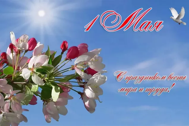 Председатель ЮРПА Владимир Немцев поздравил парламентариев Юга с праздником весны и труда