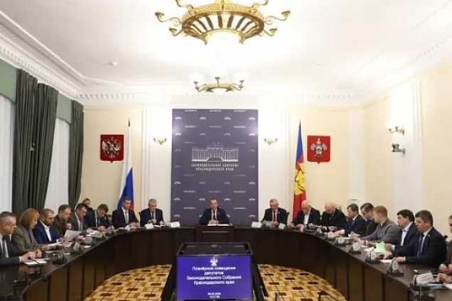 Депутаты Кубани проанализировали деятельность «Движения первых»