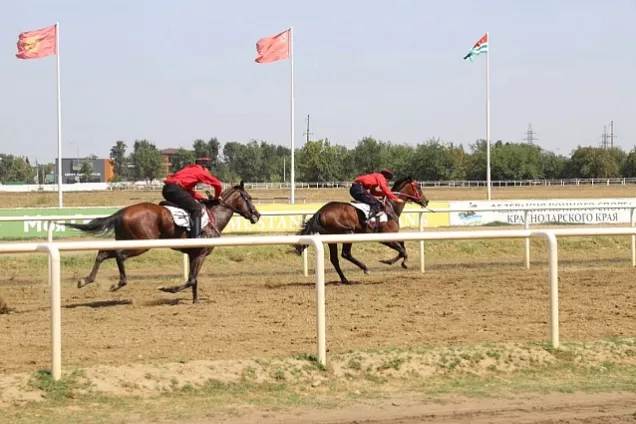 Скачки на Кубок Губернатора Краснодарского края и Приз ЗСК прошли на ипподроме кубанской столицы