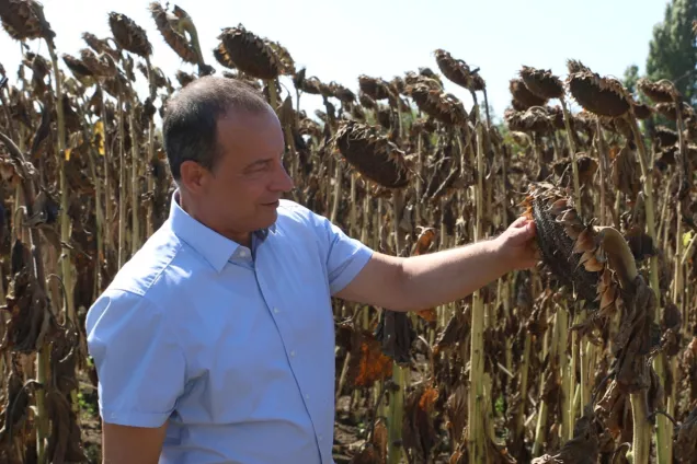 Председатель ЗСК Юрий Бурлачко ознакомился с ходом осенней уборочной кампании