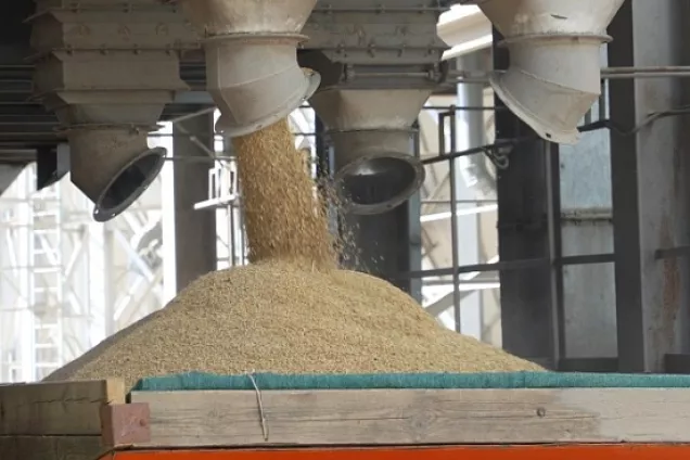 Спикер кубанского парламента Юрий Бурлачко рассказал о поддержке отрасли семеноводства в крае