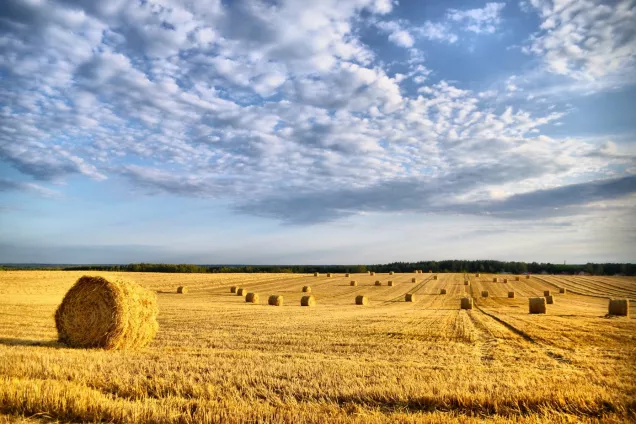 Депутаты ГД приняли закон о дополнительных мерах поддержки сельхозтоваропроизводителей