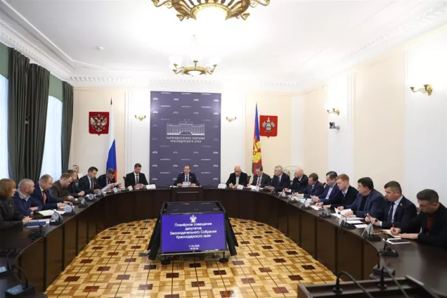 Кубанские законодатели проанализировали  исполнения краевого законодательства в сфере оборота алкоголя