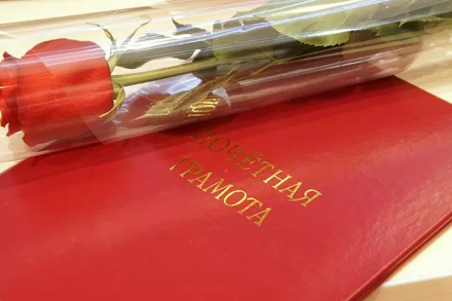 Областные депутаты отметили лучших медицинских работников