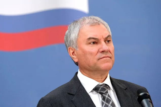 Спикер ГД уточнил, что речи о возможном полном запрете видеоигр не идет