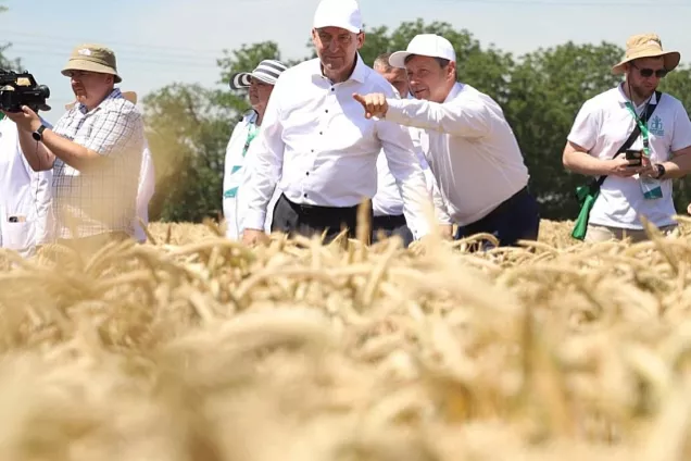 Депутаты ЗСК приняли участие в мероприятиях «Дня поля» на Кубани