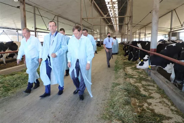 Депутаты провели мониторинг реализации краевого закона о животноводстве