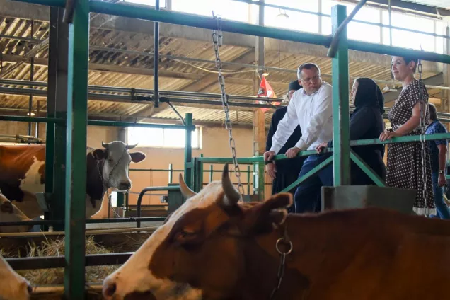 Игорь Мартынов. В одном интернет-магазине можно приобрести не только молочную продукцию, но и овощи, мясо, яйца и многое другое