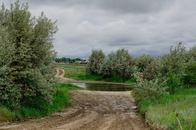 Власти и жители Волгоградской области обсуждают меры по сохранению реки Тишанка