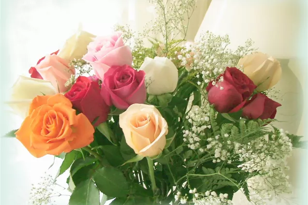 Председатель ЮРПА Владимир Немцев поздравил спикера парламента Ставрополья Николая Великдань с Днем рождения