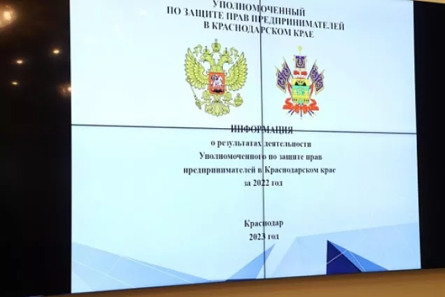 Кубанские законодатели заслушали отчет Уполномоченного по защите прав предпринимателей