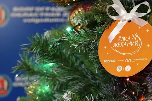 Депутаты парламентов Юга России принимают участие в федеральном проекте «Елка желаний» г.Волгоград