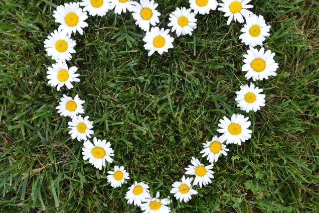 Председатель ЗСК Юрий Бурлачко поздравил кубанцев с Днём семьи, любви и верности