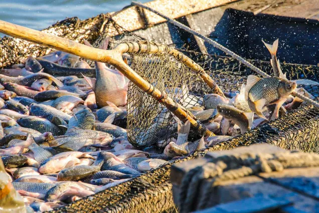 Ю.Бурлачко прокомментировал заявление Правительства о поддержке регионов в Азово-Черноморском бассейне