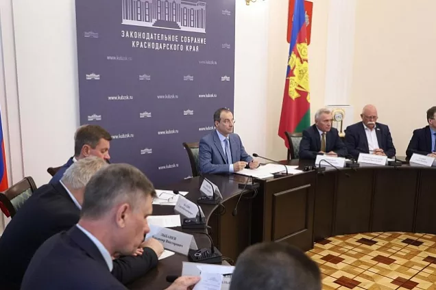 Кубанские законодатели обсудили привлечение граждан к охране общественного порядка