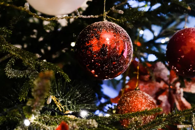 Во всех странах СНГ отмечают Новый год