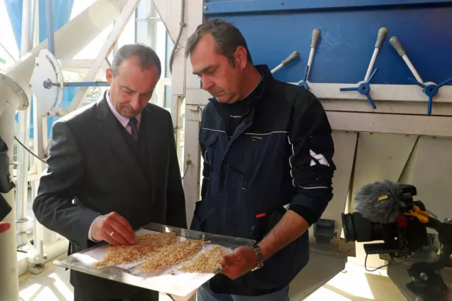 Юрий Бурлачко  прокомментировал изменения в федеральный закон о семеноводстве